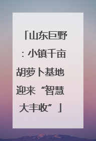 山东巨野：小镇千亩胡萝卜基地迎来“智慧大丰收”