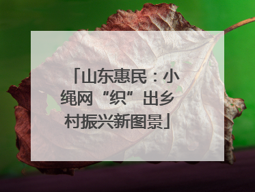山东惠民：小绳网“织”出乡村振兴新图景