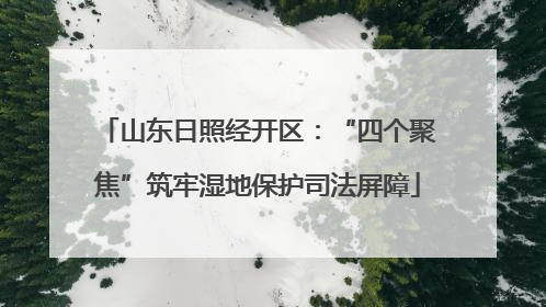 山东日照经开区：“四个聚焦”筑牢湿地保护司法屏障