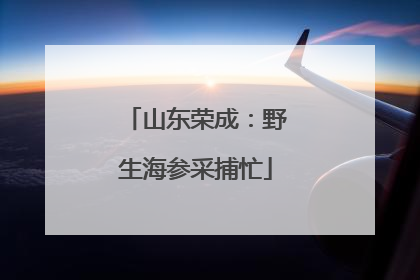 山东荣成：野生海参采捕忙