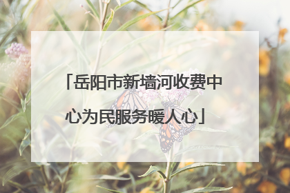 岳阳市新墙河收费中心为民服务暖人心