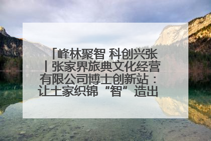 峰林聚智 科创兴张丨张家界旅典文化经营有限公司博士创新站：让土家织锦“智”造出非遗新传奇