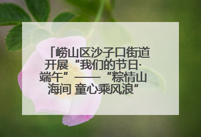 崂山区沙子口街道开展“我们的节日·端午”——“粽情山海间 童心乘风浪”文明实践活动
