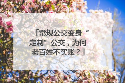 常规公交变身“定制”公交，为何老百姓不买账？