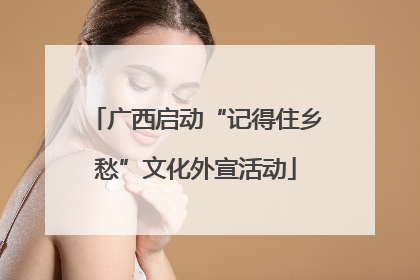广西启动“记得住乡愁”文化外宣活动