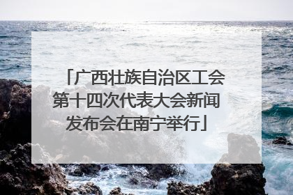 广西壮族自治区工会第十四次代表大会新闻发布会在南宁举行