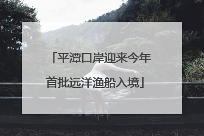 平潭口岸迎来今年首批远洋渔船入境