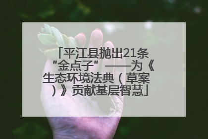平江县抛出21条“金点子”——为《生态环境法典（草案）》贡献基层智慧