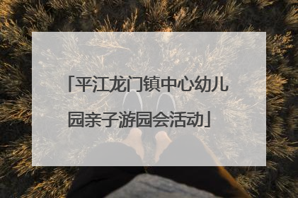 平江龙门镇中心幼儿园亲子游园会活动