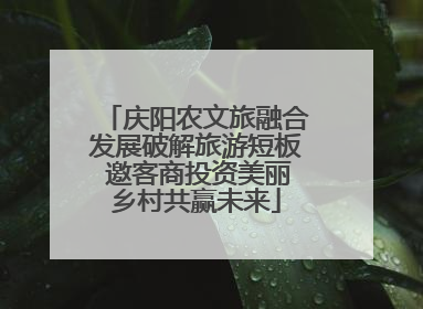 庆阳农文旅融合发展破解旅游短板 邀客商投资美丽乡村共赢未来