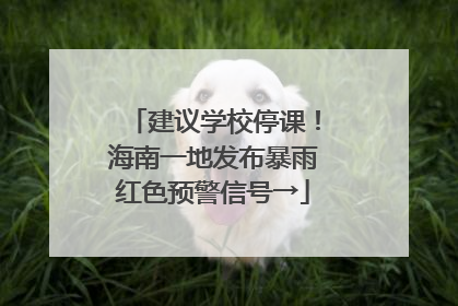 建议学校停课！海南一地发布暴雨红色预警信号→