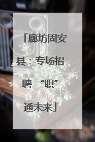 廊坊固安县：专场招聘 “职”通未来
