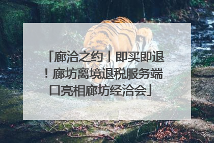 廊洽之约丨即买即退！廊坊离境退税服务端口亮相廊坊经洽会