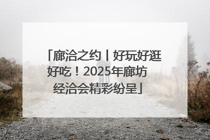廊洽之约丨好玩好逛好吃！2025年廊坊经洽会精彩纷呈