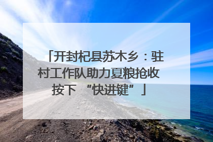开封杞县苏木乡：驻村工作队助力夏粮抢收按下 “快进键”