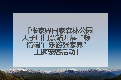 张家界国家森林公园天子山门票站开展“粽情端午·乐游张家界”主题宠客活动