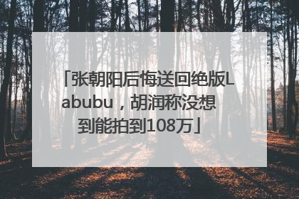 张朝阳后悔送回绝版Labubu，胡润称没想到能拍到108万