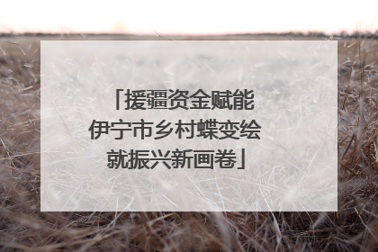 援疆资金赋能 伊宁市乡村蝶变绘就振兴新画卷