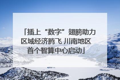 插上“数字”翅膀助力区域经济腾飞 川南地区首个智算中心启动