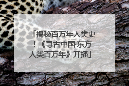 揭秘百万年人类史！《寻古中国·东方人类百万年》开播