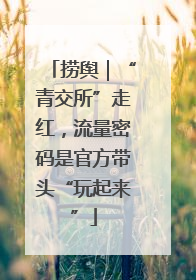 捞舆｜“青交所”走红，流量密码是官方带头“玩起来”