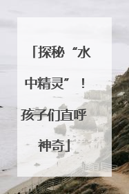 探秘“水中精灵”！孩子们直呼神奇
