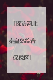 探访河北秦皇岛综合保税区