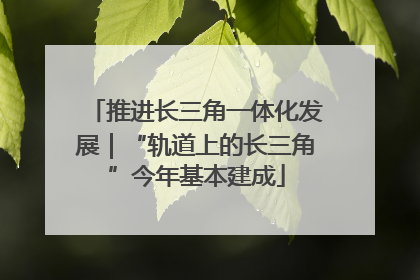 推进长三角一体化发展｜“轨道上的长三角”今年基本建成