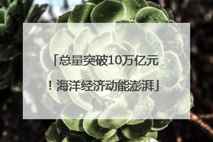 总量突破10万亿元！海洋经济动能澎湃