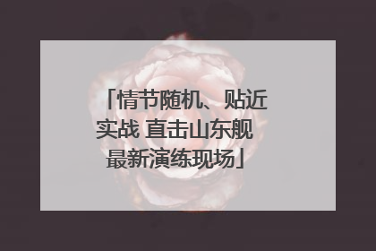 情节随机、贴近实战 直击山东舰最新演练现场