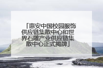 惠安中国校园服饰供应链集散中心和世界石雕产业供应链集散中心正式揭牌