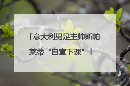 意大利男足主帅斯帕莱蒂“自宣下课”