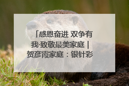 感恩奋进 双争有我·致敬最美家庭｜贺彦霞家庭：银针彩线绣出好日子