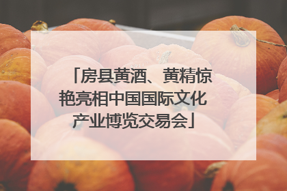房县黄酒、黄精惊艳亮相中国国际文化产业博览交易会