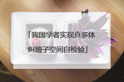 我国学者实现真多体纠缠子空间自检验