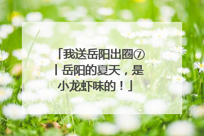 我送岳阳出圈⑦丨岳阳的夏天，是小龙虾味的！