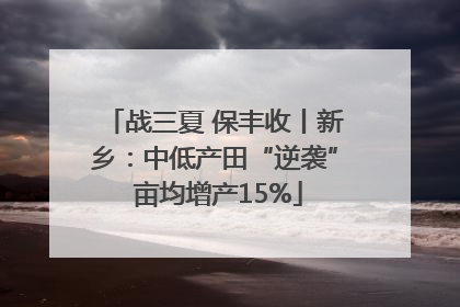 战三夏 保丰收丨新乡：中低产田“逆袭” 亩均增产15%