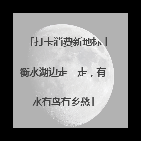 打卡消费新地标丨衡水湖边走一走，有水有鸟有乡愁