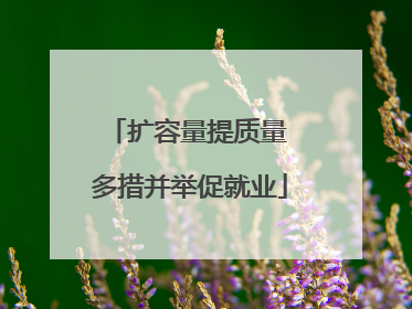 扩容量提质量 多措并举促就业
