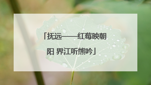 抚远——红莓映朝阳 界江听熊吟