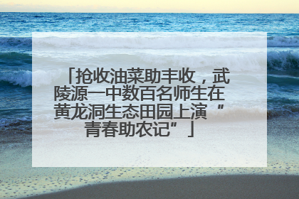 抢收油菜助丰收，武陵源一中数百名师生在黄龙洞生态田园上演“青春助农记”