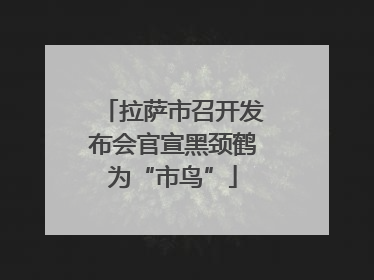 拉萨市召开发布会官宣黑颈鹤为“市鸟”