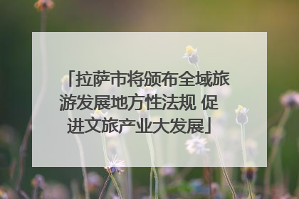 拉萨市将颁布全域旅游发展地方性法规 促进文旅产业大发展