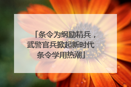条令为纲励精兵，武警官兵掀起新时代条令学用热潮
