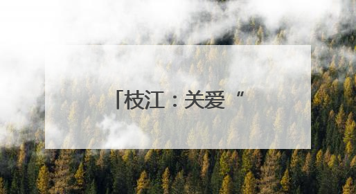 枝江：关爱“暑”不尽 托管有“趣”处