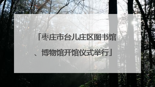枣庄市台儿庄区图书馆、博物馆开馆仪式举行