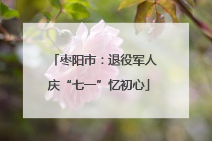 枣阳市：退役军人庆“七一”忆初心