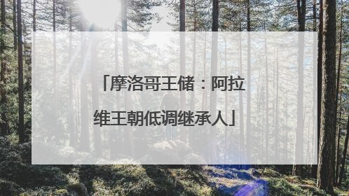摩洛哥王储：阿拉维王朝低调继承人