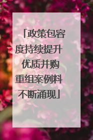 政策包容度持续提升 优质并购重组案例料不断涌现