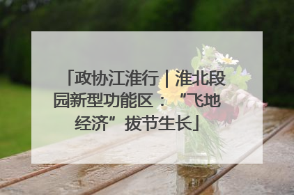 政协江淮行｜淮北段园新型功能区：“飞地经济”拔节生长